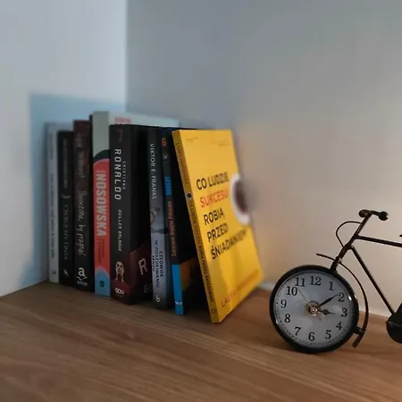 Mineralny Lejlighed *